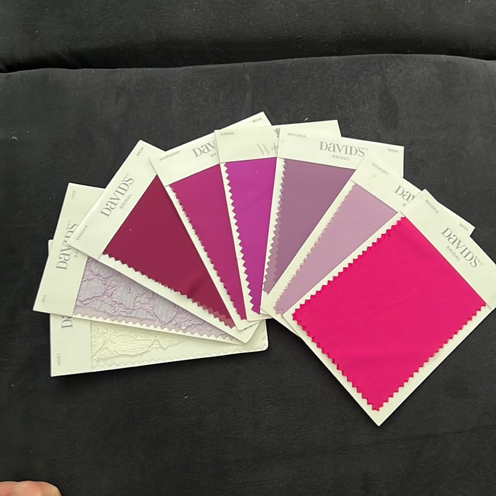 8 David’s Bridal Swatches